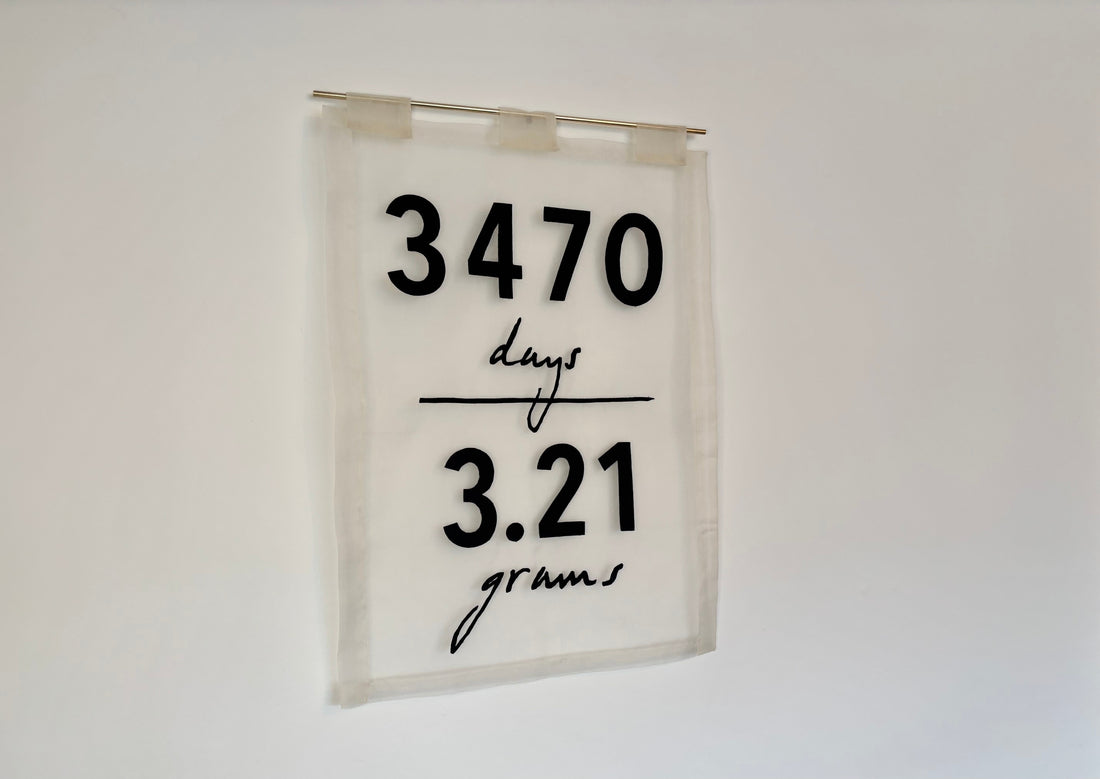 Louise Brooke sheer banner which reads 3470 days and 3.21 grams