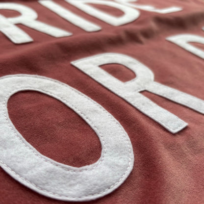 Close up of dusky pink velvet handmade banner with white felt letters.
