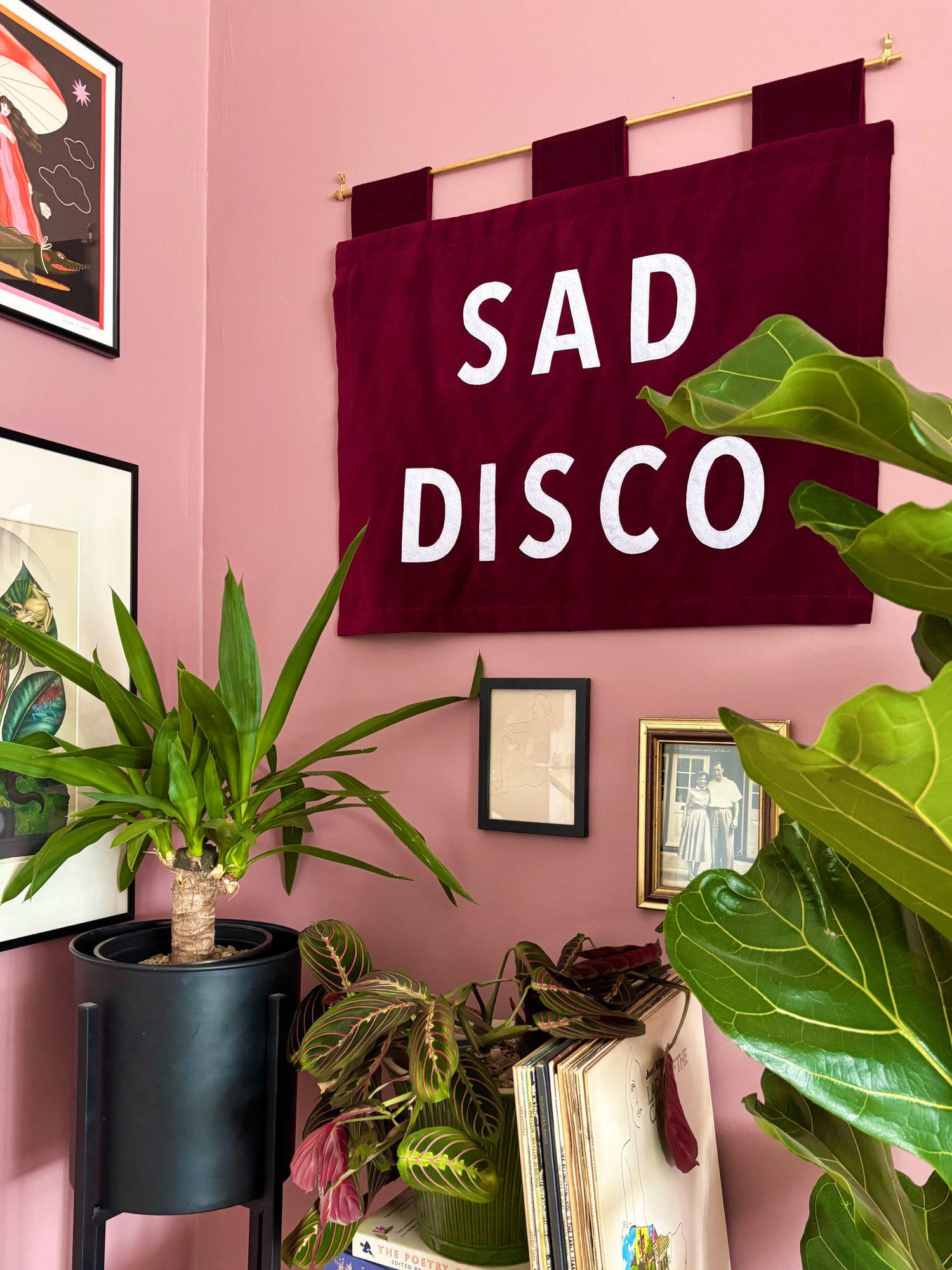 Wall with 'SAD DISCO' handmade banner, plants, and books against a pink wall.