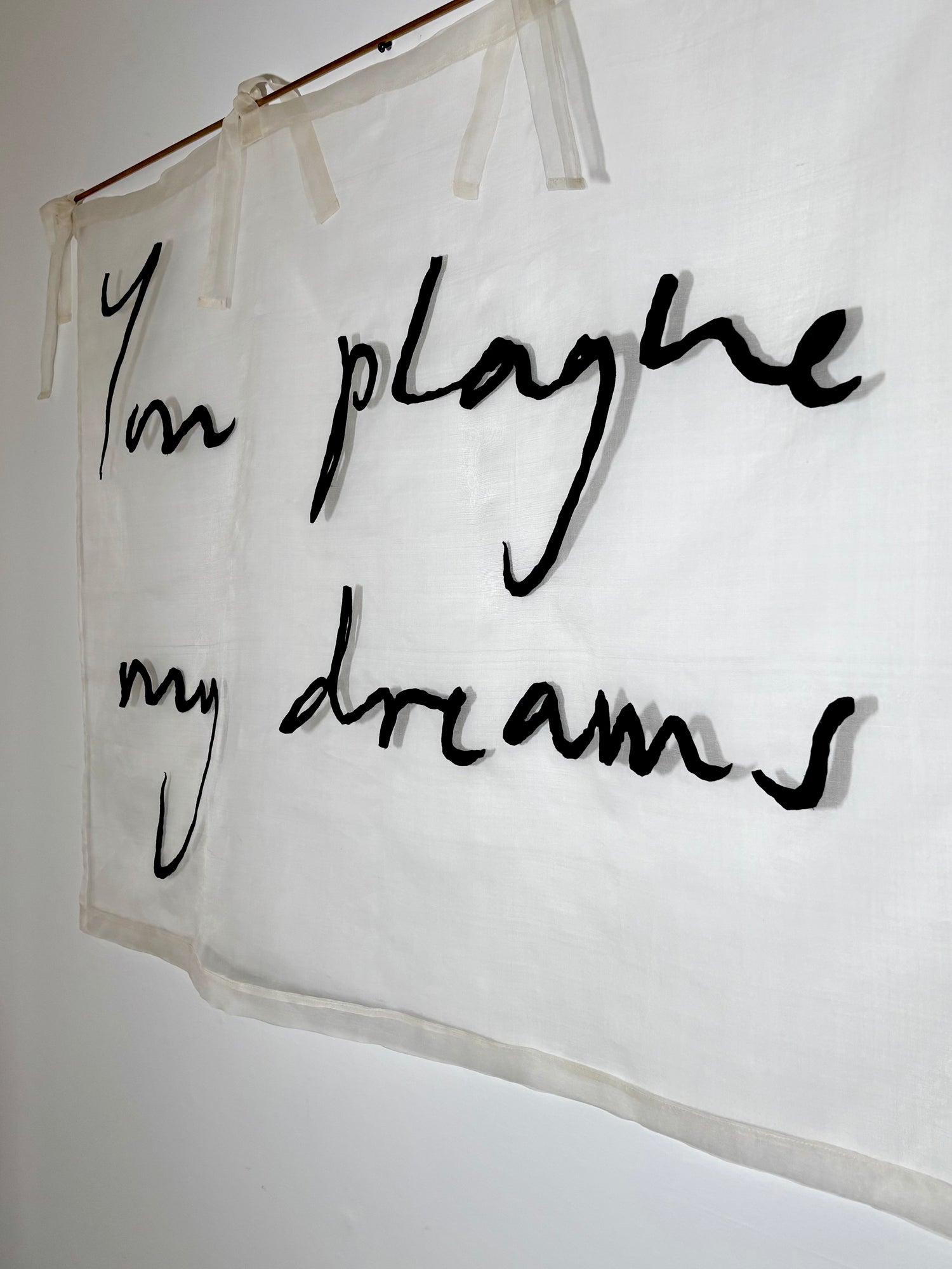 Text 'You plague my dreams' on an organza banner casting a shadow on a white background.