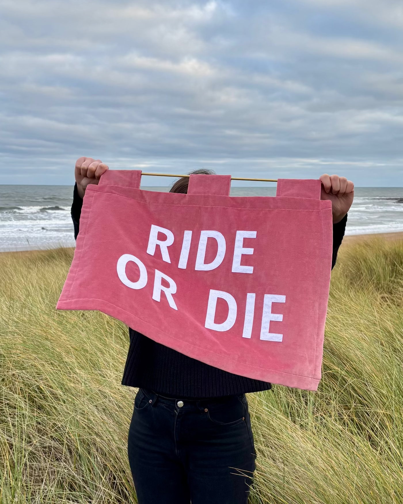 Person holding a pink velvet banner with 'RIDE OR DIE' text in a grassy field with ocean view