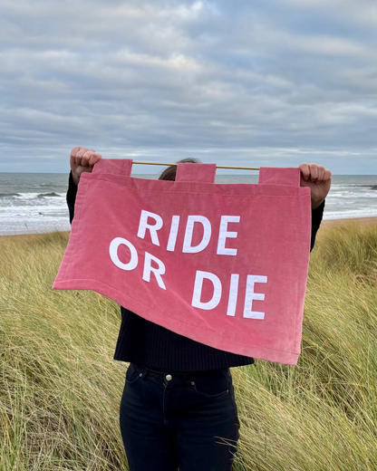 Person holding a pink velvet banner with 'RIDE OR DIE' text in a grassy field with ocean view